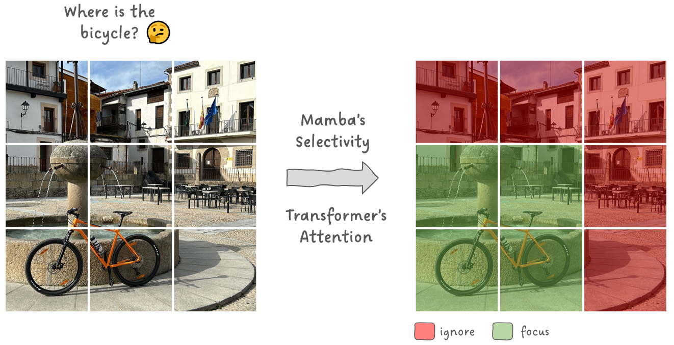 Figure 8: Selectivity and Attention on images. Image by Sascha Kirch.