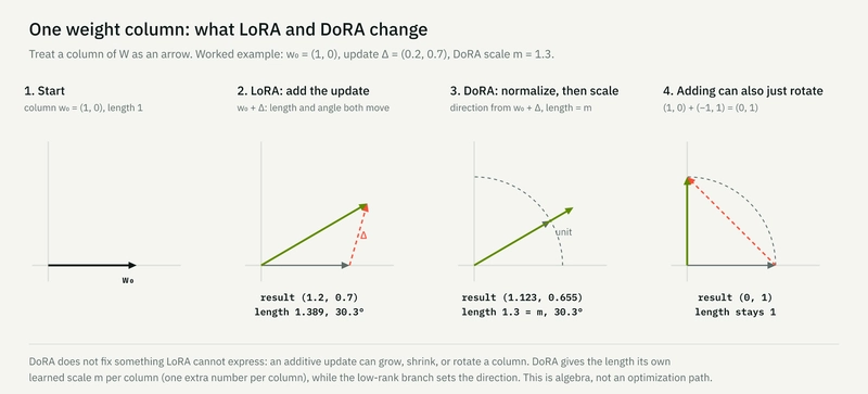 One weight column as an arrow. LoRA's additive update moves length and angle together; DoRA normalizes the updated column and gives its length a separate learned scale m. An additive update can also rotate without changing length.