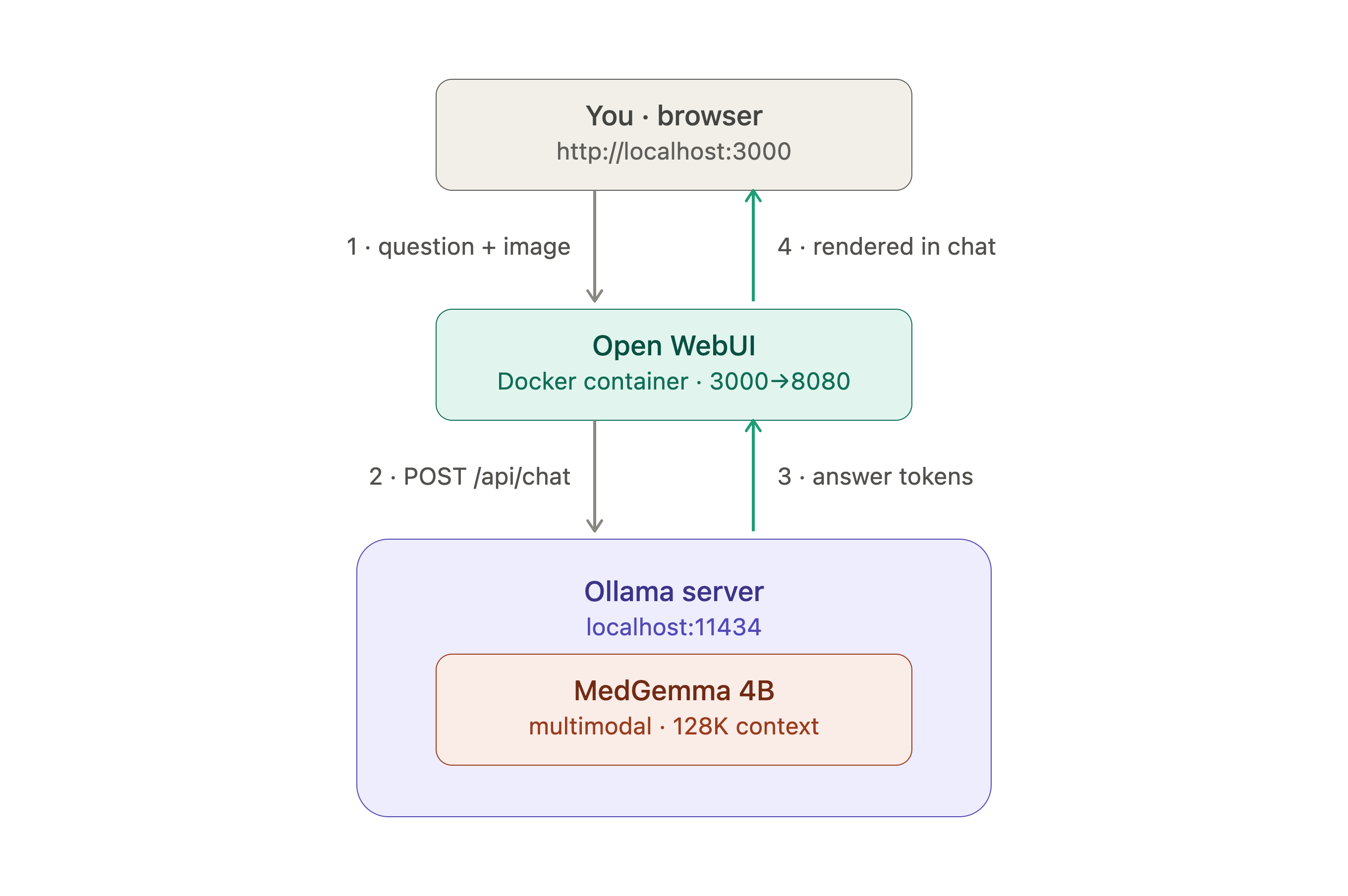 Architecture diagram showing Open WebUI connected to Ollama, which runs the MedGemma model locally on the user’s computer. All medical text and image processing happens on the local machine without using cloud services.