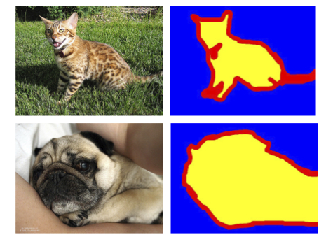 Figure 1: Pet images and their segmentation masks Source: The Oxford-IIIT Pet Dataset
