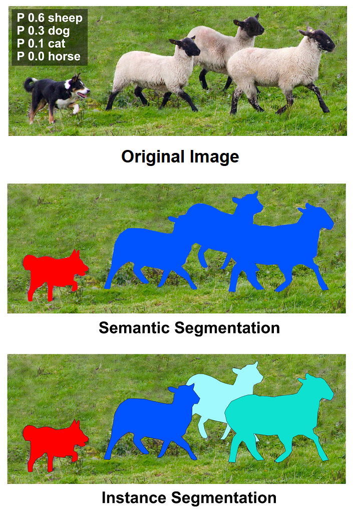 Figure 3: Object and class segmentations Source: MS Coco - Creative Commons Attribution license