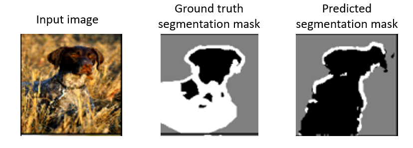Figure 7: An example of the ground truth segmentation mask containing a lot of unknown pixels. This is a very hard input for any ML model. Source: Authors